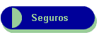 Seguros